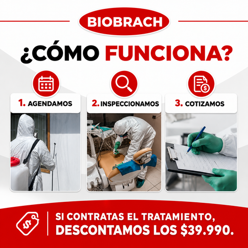 Como funciona la inspeccion de control de plagas